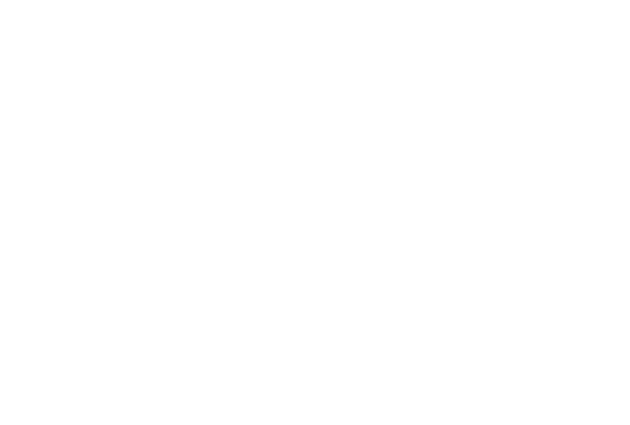 lamoda sport